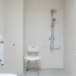 Cervantes 17 *